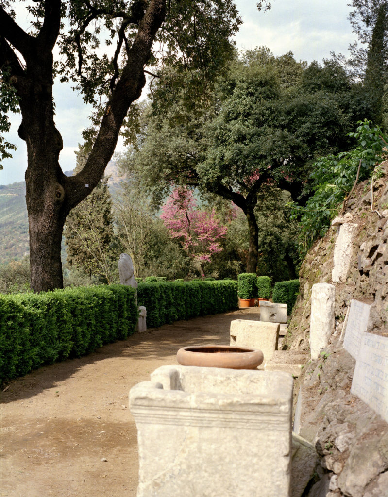 Addio al Nubilato in SPA - GreenParkMadama